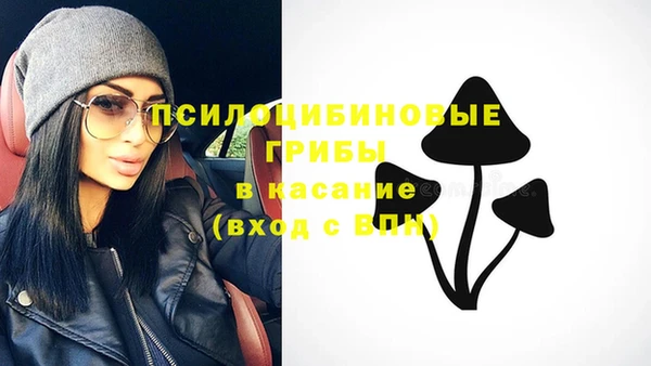 крисы Алексин