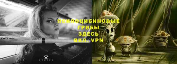 крисы Алексин
