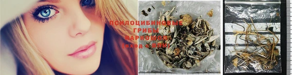 спиды Алексеевка