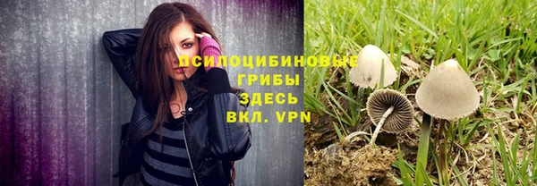 крисы Алексин