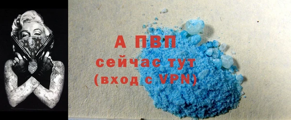 крисы Алексин