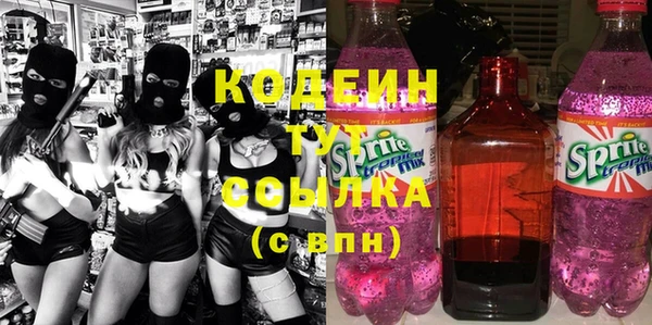 крисы Алексин