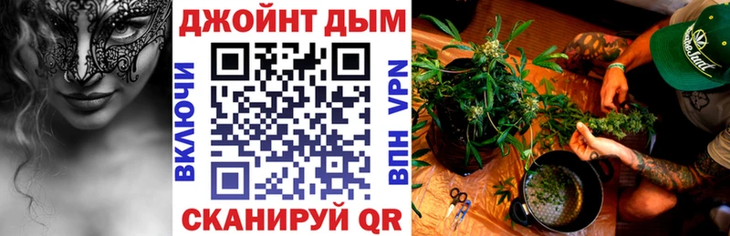 как найти   Ветлуга  Канабис планчик 